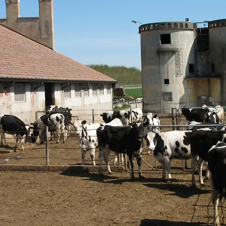 Alloggio per agriturismo Corte Virgiliana *